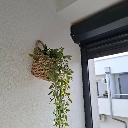 Dora ג'אגודינה